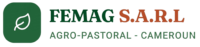 FEMAG S.A.R.L